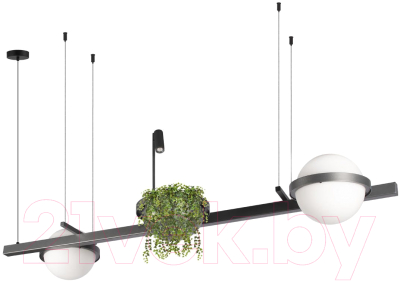 Потолочный светильник Loftit Jardin 10121/D