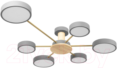 Потолочный светильник Loftit Sunrise 10316/6 - фото