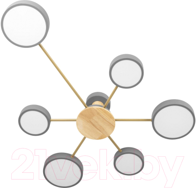Потолочный светильник Loftit Sunrise 10316/6