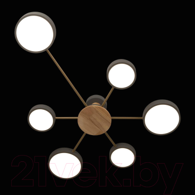 Потолочный светильник Loftit Sunrise 10316/6