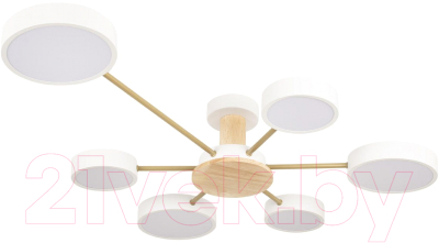 Потолочный светильник Loftit Sunrise 10316/6 - фото