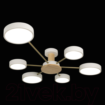 Потолочный светильник Loftit Sunrise 10316/6