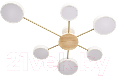 Потолочный светильник Loftit Sunrise 10316/6