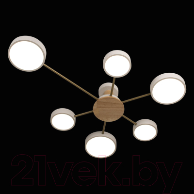 Потолочный светильник Loftit Sunrise 10316/6