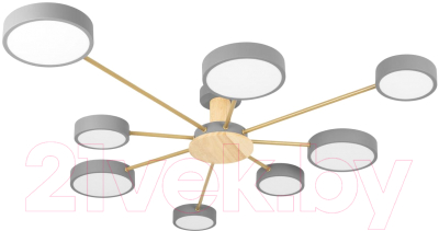 Потолочный светильник Loftit Sunrise 10316/8 - фото