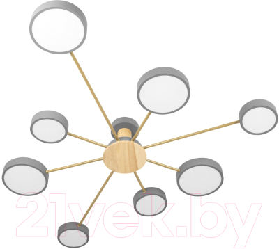 Потолочный светильник Loftit Sunrise 10316/8