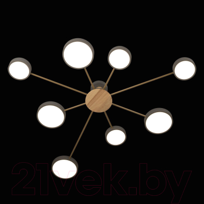 Потолочный светильник Loftit Sunrise 10316/8