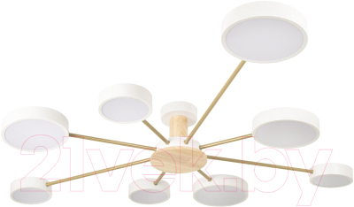 Потолочный светильник Loftit Sunrise 10316/8 - фото