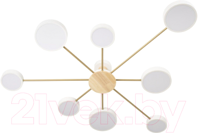 Потолочный светильник Loftit Sunrise 10316/8