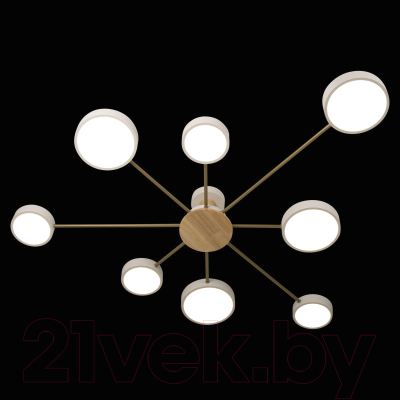 Потолочный светильник Loftit Sunrise 10316/8