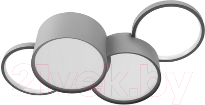 Потолочный светильник Loftit Pin 10317/4