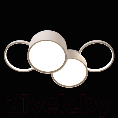 Потолочный светильник Loftit Pin 10317/4