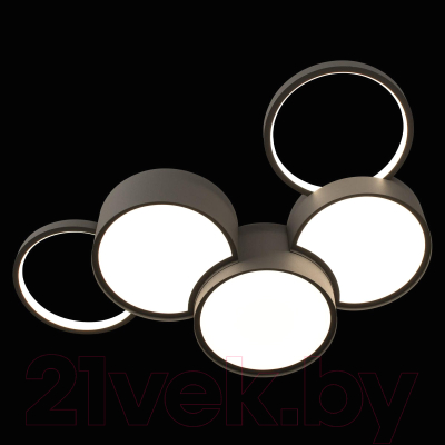 Потолочный светильник Loftit Pin 10317/5