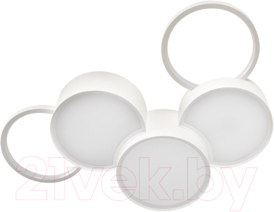 Потолочный светильник Loftit Pin 10317/5