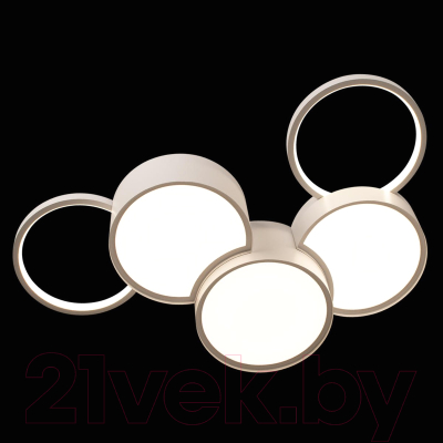 Потолочный светильник Loftit Pin 10317/5