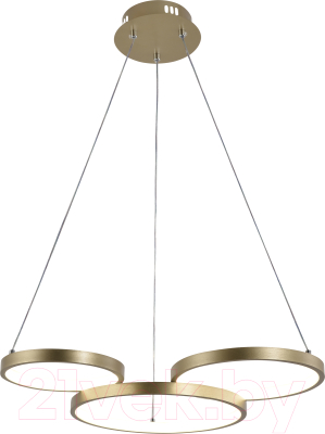 Потолочный светильник Rivoli Clara 6125-101 / Б0061835 - фото