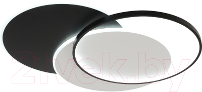 Потолочный светильник Rivoli Julia 6080-401 / Б0061832 - фото