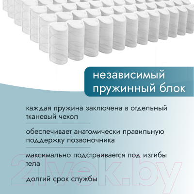 Матрас Seven Dreams Twin Coco Latex 413377 (80x200)