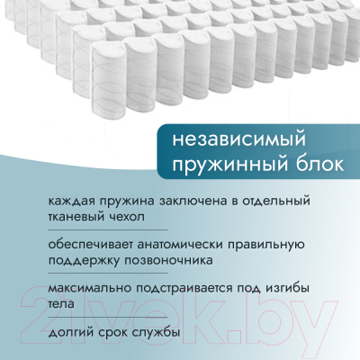 Матрас Seven Dreams Twin Eco 413385 (80x200)