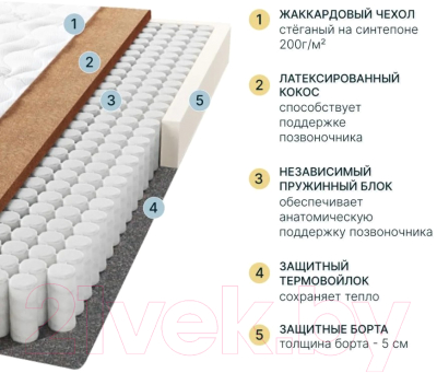 Матрас Seven Dreams Basic Coco 415373 (80x200)