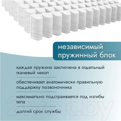 Матрас Seven Dreams Basic Foam 415365 (80x200)