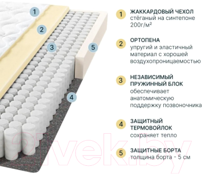 Матрас Seven Dreams Basic Foam 415365 (80x200)