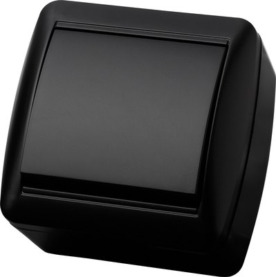 Выключатель TDM Селигер / SQ1818-0301 - фото