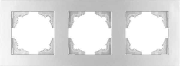 Рамка для выключателей и розеток TDM Сенеж / SQ1816-0256 - фото