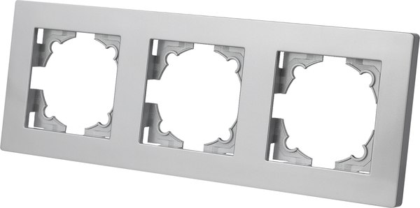 Рамка для выключателей и розеток TDM Сенеж / SQ1816-0256