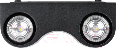 Бра уличное TDM SQ0345-1025