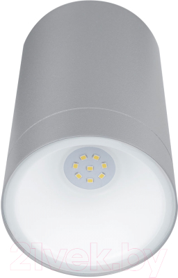 Бра уличное TDM SQ0345-1092