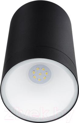 Бра уличное TDM SQ0345-1090