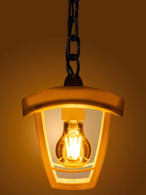 Светильник уличный TDM SQ0330-1313