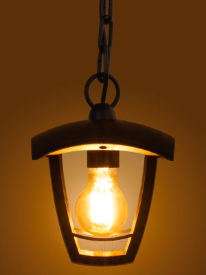 Светильник уличный TDM SQ0330-1303