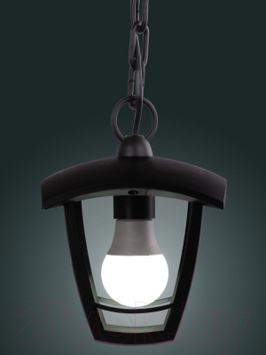 Светильник уличный TDM SQ0330-1303