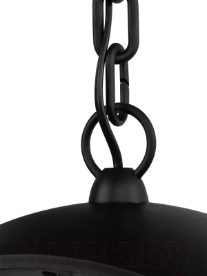 Светильник уличный TDM SQ0330-1303