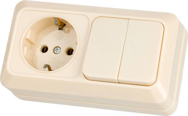 Блок выключатель+розетка TDM Ладога SQ1801-0202 - фото