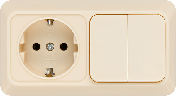 Блок выключатель+розетка TDM Ладога SQ1801-0202