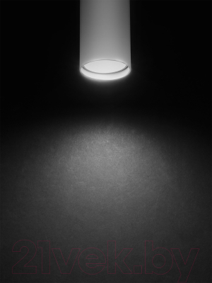 Спот TDM SQ0356-0402