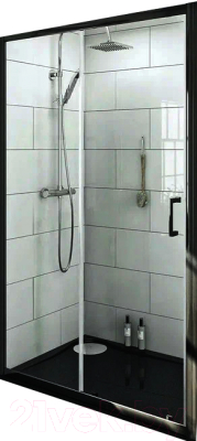 Душевая дверь PELICAN FP020100B - фото