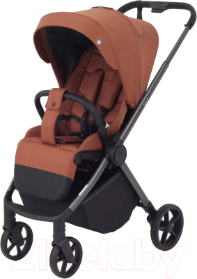Детская прогулочная коляска Rant Golf / RA101 (Maroon Brown) - фото