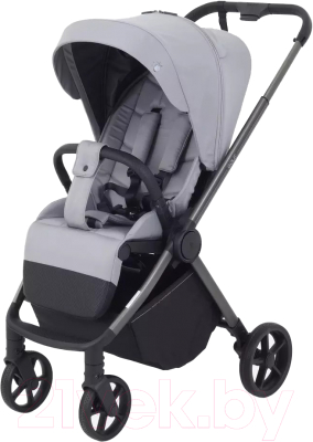 Детская прогулочная коляска Rant Golf / RA101 (Classic Grey) - фото