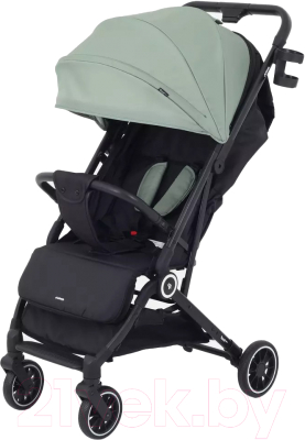 Детская прогулочная коляска Rant Basic Juno / RA302 - фото