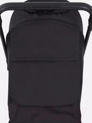 Детская прогулочная коляска Rant Basic Juno / RA302