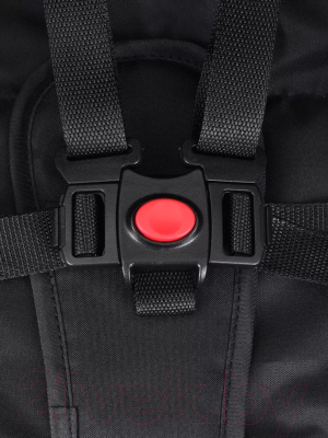 Детская прогулочная коляска Rant Basic Juno / RA302 (Graphite)