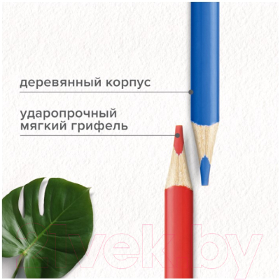 Набор цветных карандашей Brauberg Max / 181860