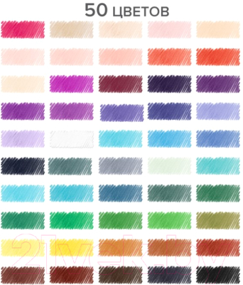 Набор цветных карандашей Brauberg Max / 181860