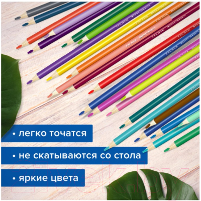 Набор цветных карандашей Brauberg Max / 181860