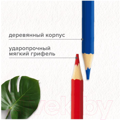 Набор цветных карандашей Brauberg Max / 181861