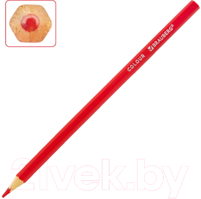 Набор цветных карандашей Brauberg Max / 181861